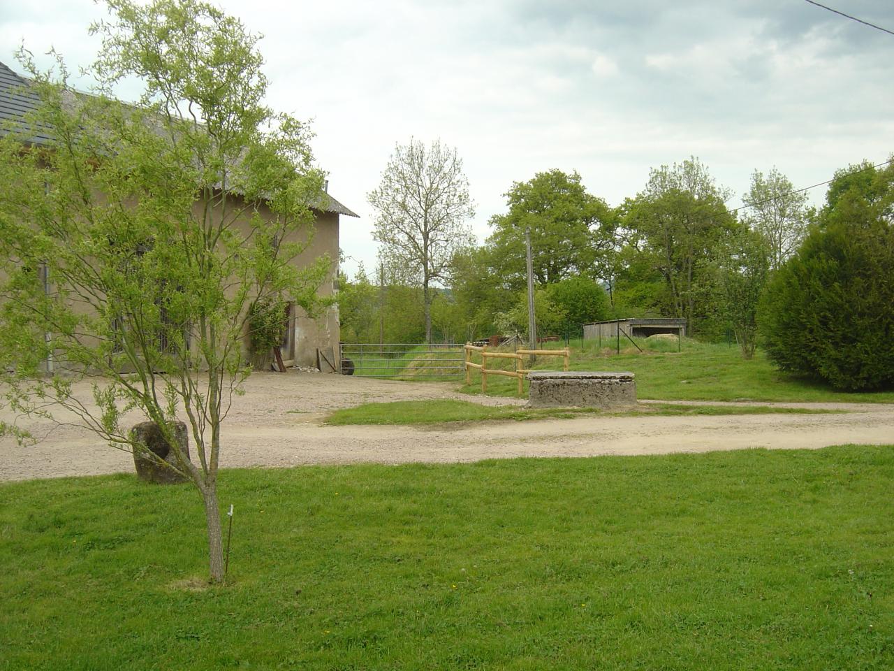 pelouse vue depuis la clôture